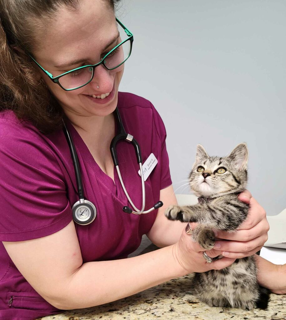 Close up of vet tech with a kitten smiling